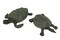 Hawksbill and Soft Shell Sea Turtle 2 Piece Statue Set